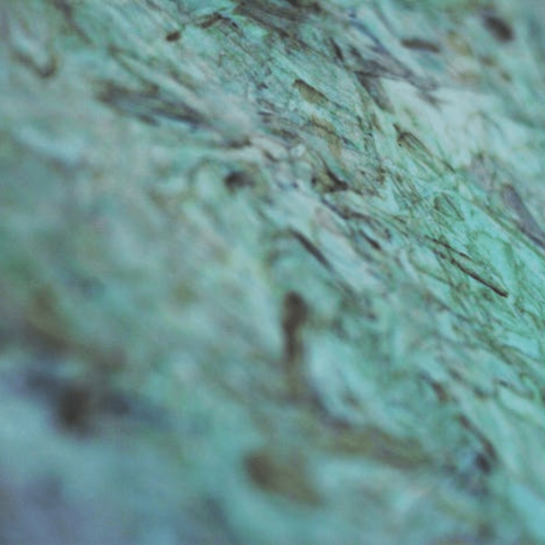 Smartply Propassiv OSB3