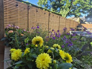how to choose the right timber