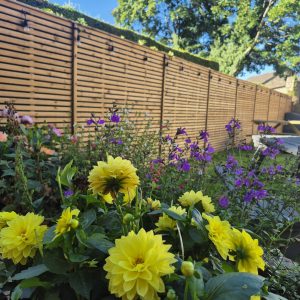 how to choose the right timber